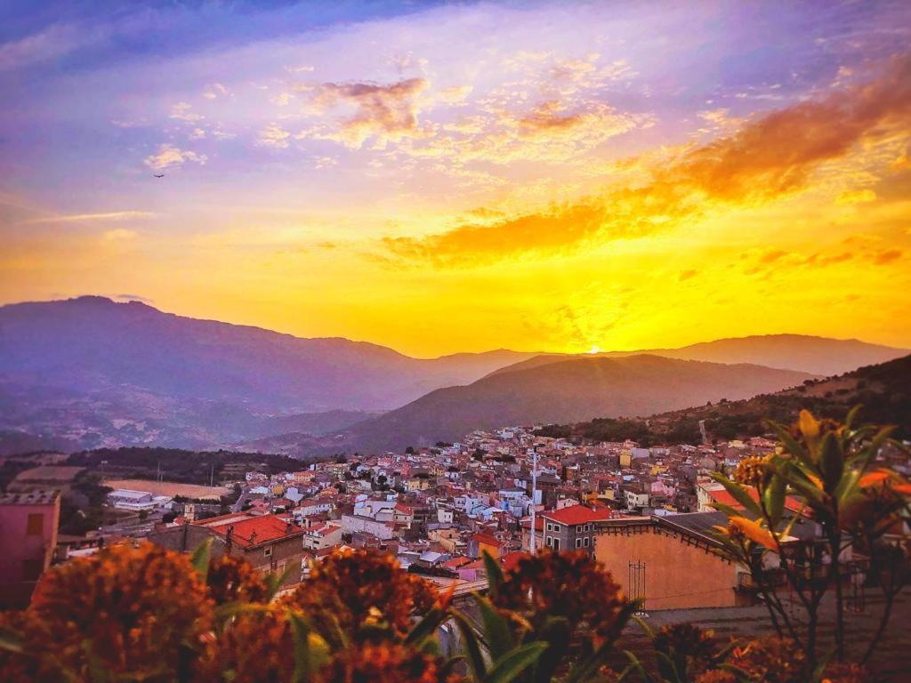 Orgosolo B&B Sardegna Luaran gambar