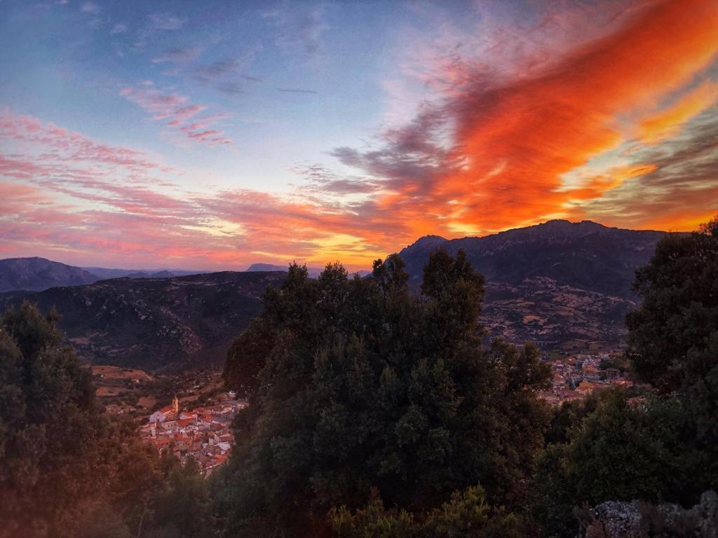 Orgosolo B&B Sardegna Luaran gambar